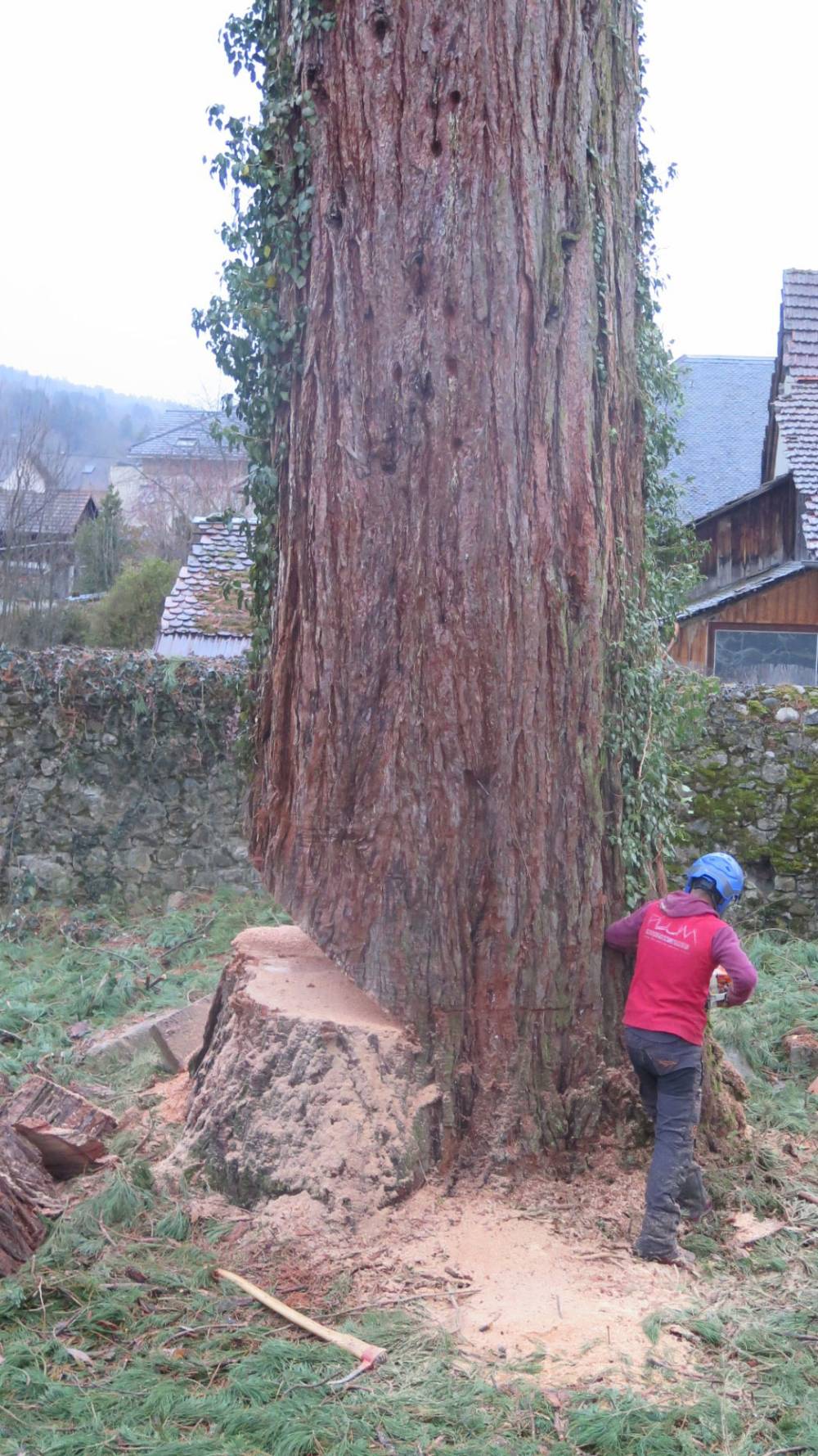 gros-arbre